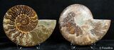 Inch Split Ammonite Pair #2631-1